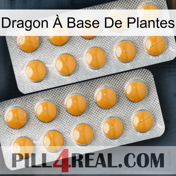 Dragon À Base De Plantes levitra2